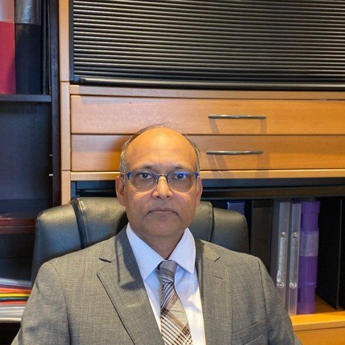 Shah Akin - Senior Economic Consultant